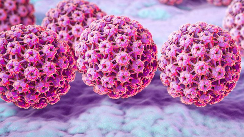 Giáo dục bệnh nhân: Virus HPV gây u nhú ở người và tầm soát ung thư cổ tử cung sớm