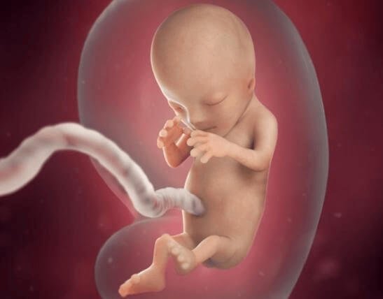 5 giác quan của bé phát triển như thế nào trong thai kỳ?