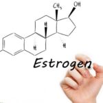 Tác động của estrogen đối với tăng cân và mãn kinh