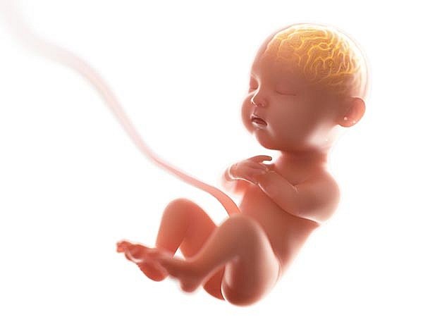 Dây rốn một động mạch: Nguyên nhân và những lưu ý trong thai kỳ