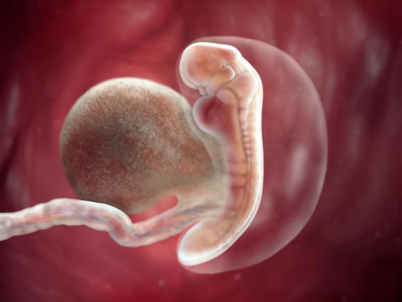 Làm thế nào để phát hiện sớm thai chậm phát triển trong tử cung?