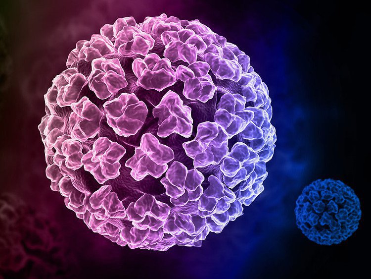 Vì sao virus HPV 16 và 18 là nguyên nhân hàng đầu gây ung thư cổ tử cung?