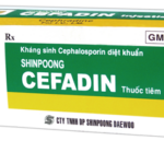 Công dụng thuốc SP Cefradine