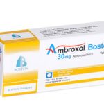 Công dụng thuốc Ambroxol Boston
