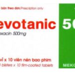 Công dụng thuốc Levotanic 500