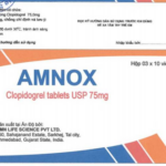 Công dụng thuốc Amnox