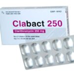Công dụng thuốc Clabact 250