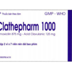 Công dụng thuốc Clathepharm 1000
