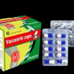Công dụng thuốc Vacocerin