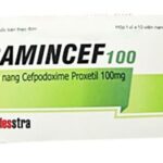 Công dụng thuốc Gamincef 100