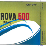Công dụng thuốc Mycotrova 500