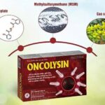 Oncolysin – Giúp phòng ngừa và hỗ trợ điều trị ung bướu