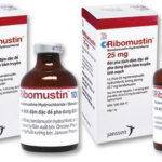 Công dụng thuốc Ribomustin