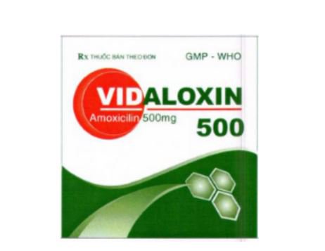 Công dụng thuốc Vidaloxin