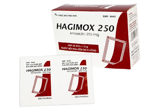 Hagimox 250 là thuốc gì?