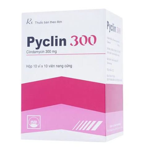 Công dụng thuốc Pyclin 300