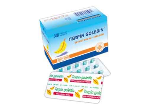 Công dụng thuốc Terpin Goledin
