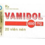 Công dụng thuốc Vamidol 480