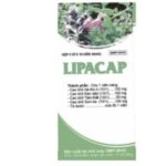 Công dụng thuốc Lipacap