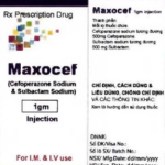 Công dụng thuốc Maxocef 1gm