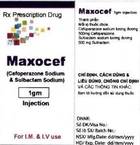 Công dụng thuốc Maxocef 1gm