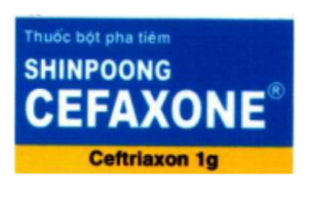 Công dụng thuốc Shinpoog Cefaxone
