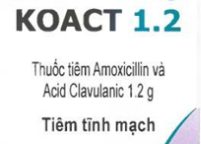 Công dụng thuốc Koact 1.2