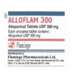 Công dụng thuốc Alloflam 300