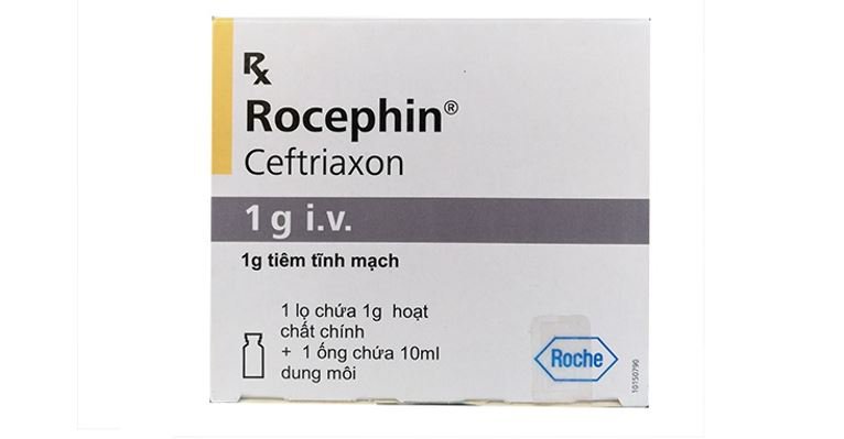 Thuốc Rocephin có tác dụng gì?